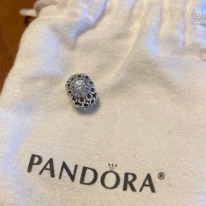 Retired Pandora Floral Brilliance Charm